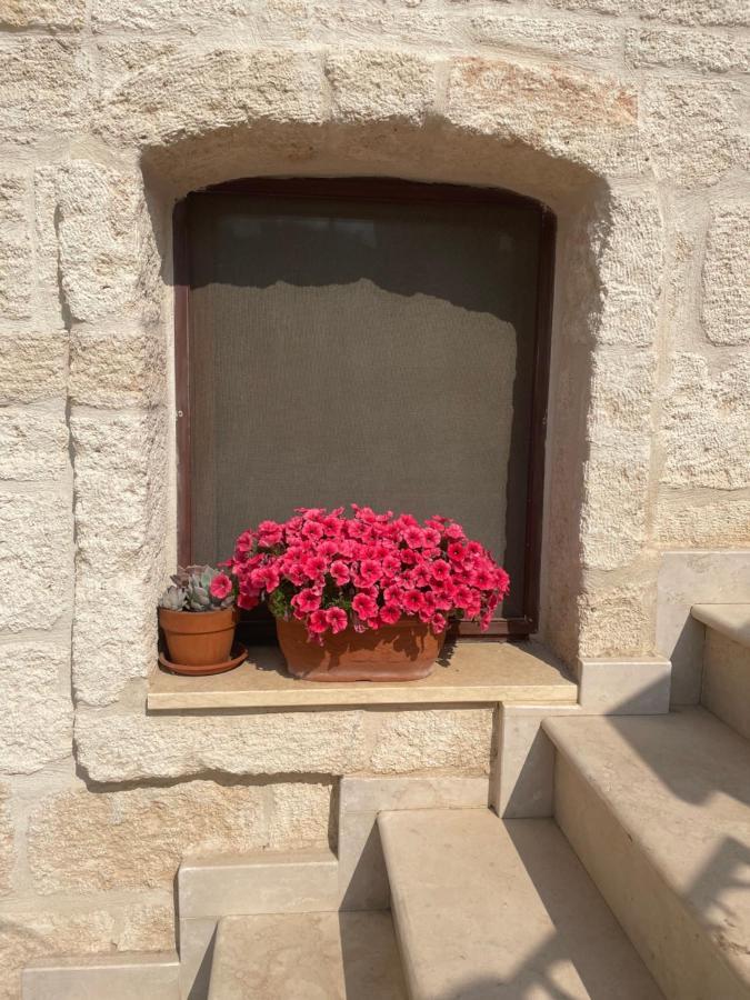 Lamanna Summer House Polignano a Mare Exteriér fotografie